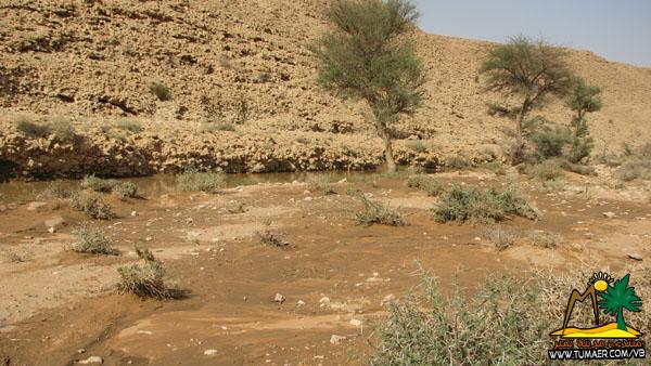 نقرتين لعرض الصورة في صفحة مستقلة
