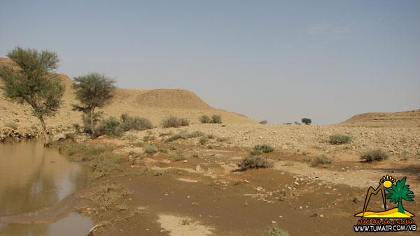 نقرتين لعرض الصورة في صفحة مستقلة