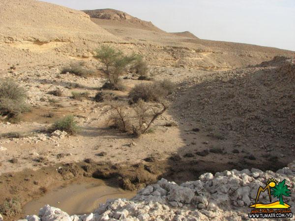 نقرتين لعرض الصورة في صفحة مستقلة